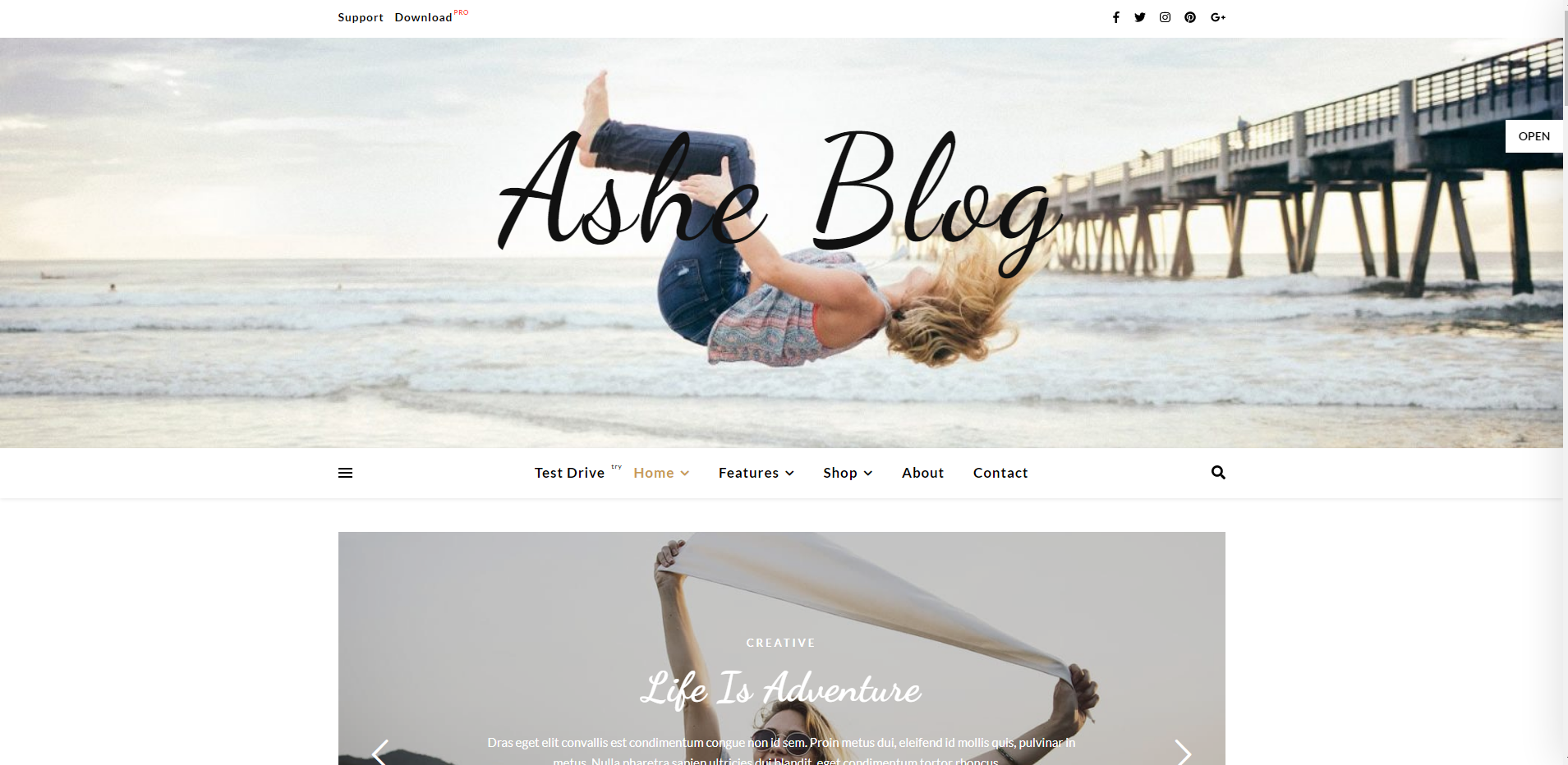 Ashe Blog - temas de blog WordPress gratuitos