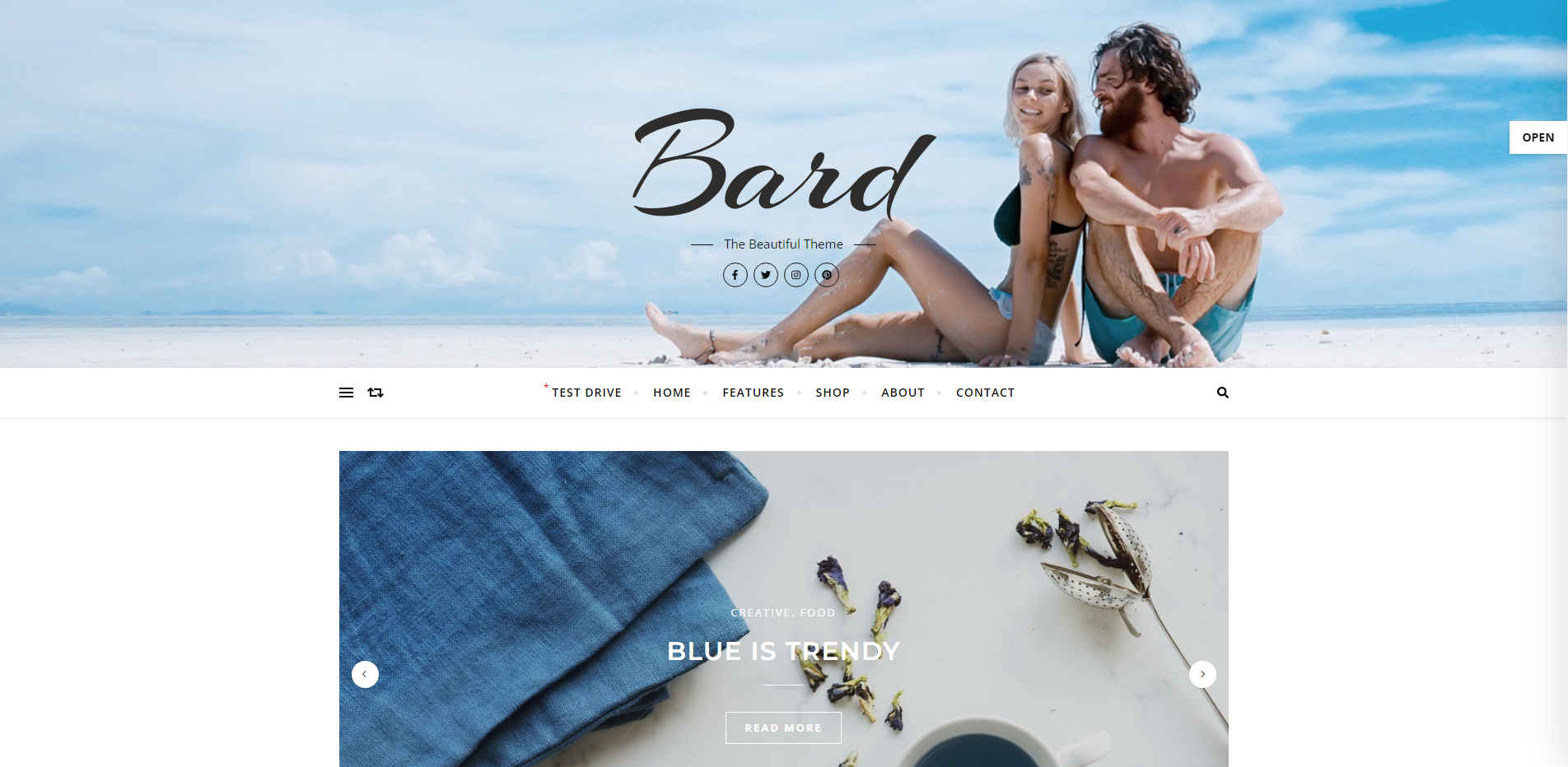 Bard - ücretsiz WordPress blog temaları