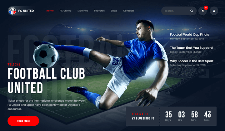 WordPress themes for football clubs and soccer