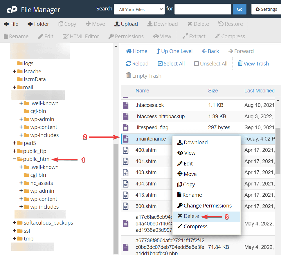 eliminazione del file di manutenzione tramite file manager