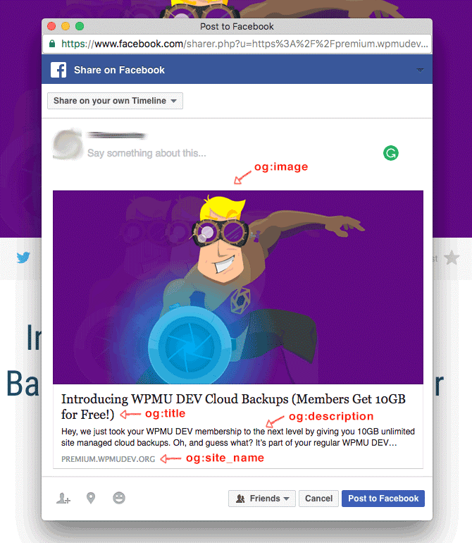 pda-wordpress-open-graph-image-types