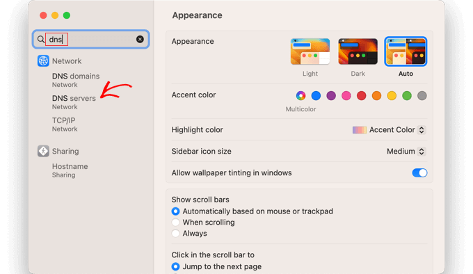 Suchen Sie in den Mac-Systemeinstellungen nach „DNS“.