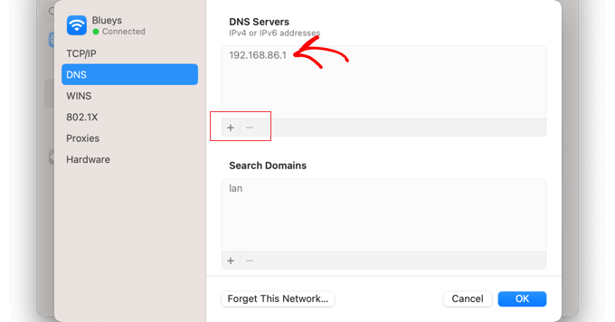 Veți vedea adresa serverului DNS curent