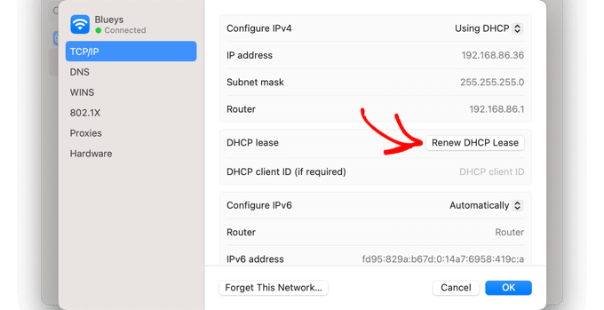 Haga clic en el botón 'Renovar arrendamiento de DHCP'