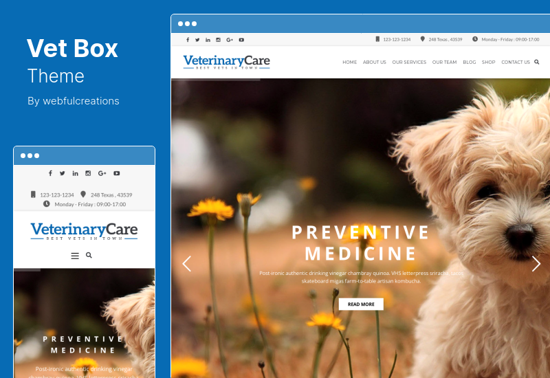 Tema VetBox - Temi WordPress per veterinari e animali domestici