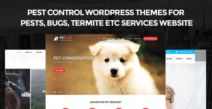 Thèmes WordPress pour la lutte antiparasitaire