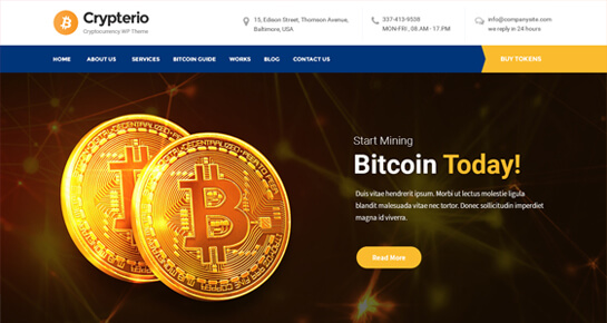 موضوع Crypto WordPress: