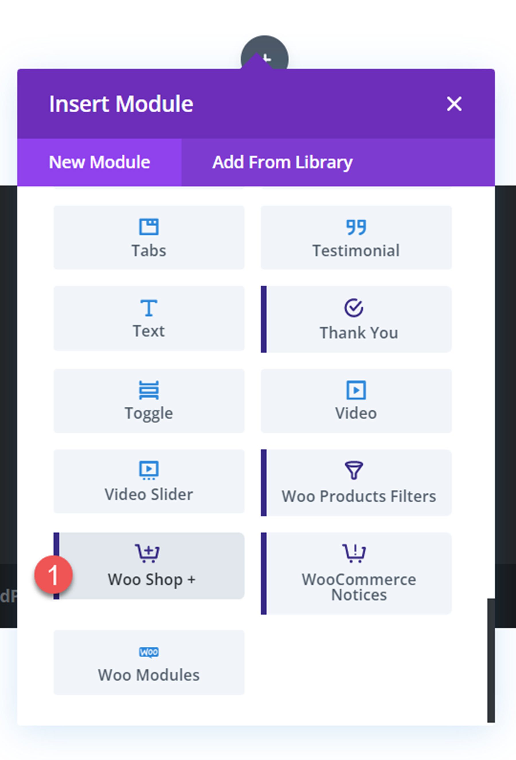 Sorotan Plugin Divi Modul Divi Shop Builder Woo Shop