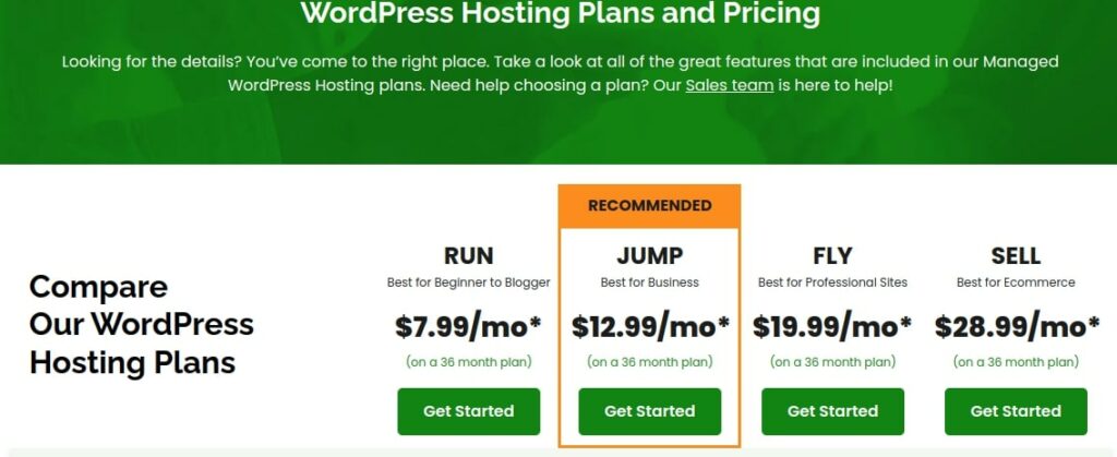 Prezzi dell'hosting gestito da wordpress