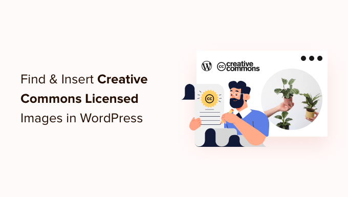 Как найти и вставить изображения с лицензией Creative Commons в WordPress