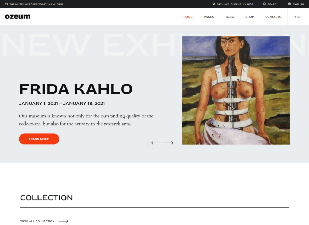 Ozeum - Galeria de Arte Moderna e Museu Criativo Online WordPress Theme