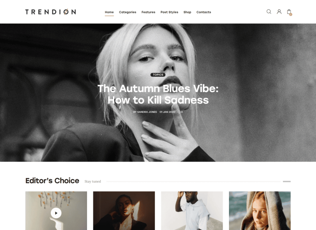 Trendion - Thème WordPress pour blog de style de vie personnel et magazine