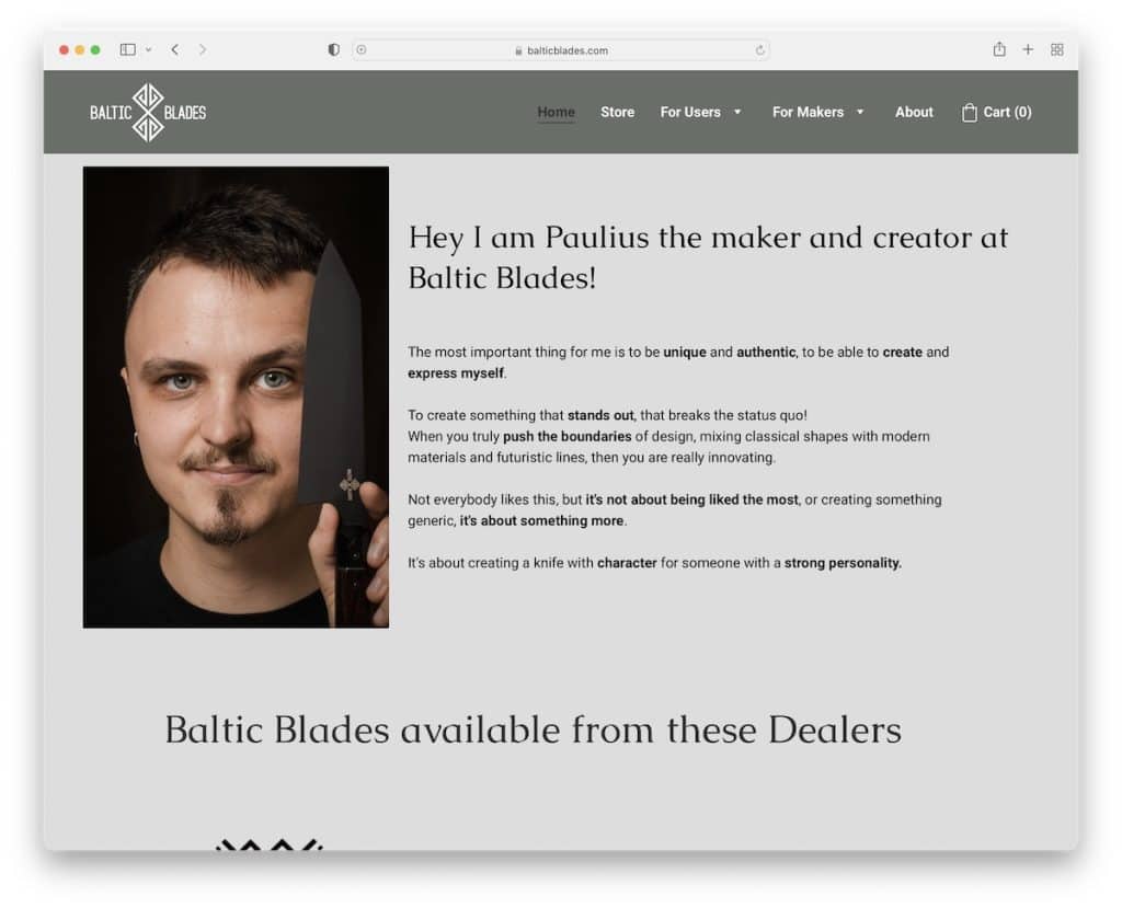 site-ul web baltic blades zyro