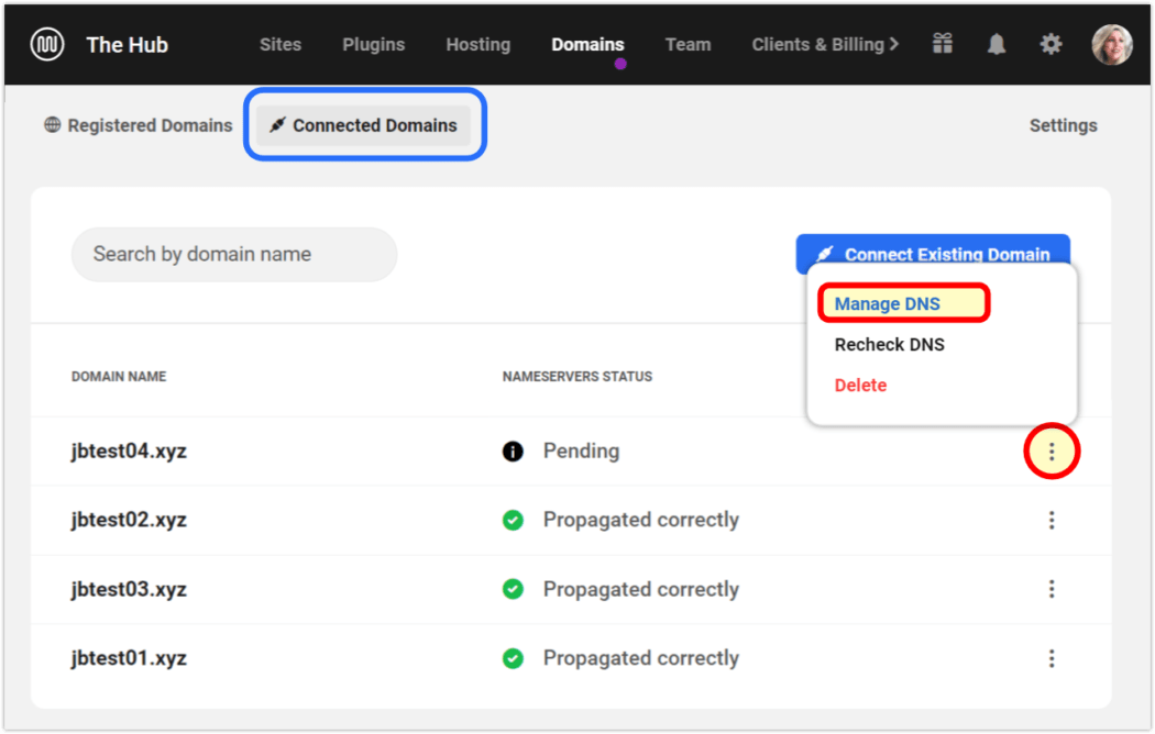 połączone domeny zarządzają dns ​​(wpmudev)