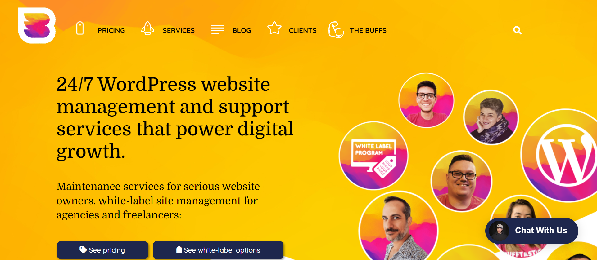 خدمات Wpbuffs WordPress