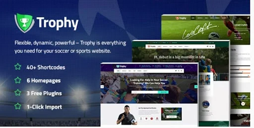 Thèmes WordPress pour le football et le football