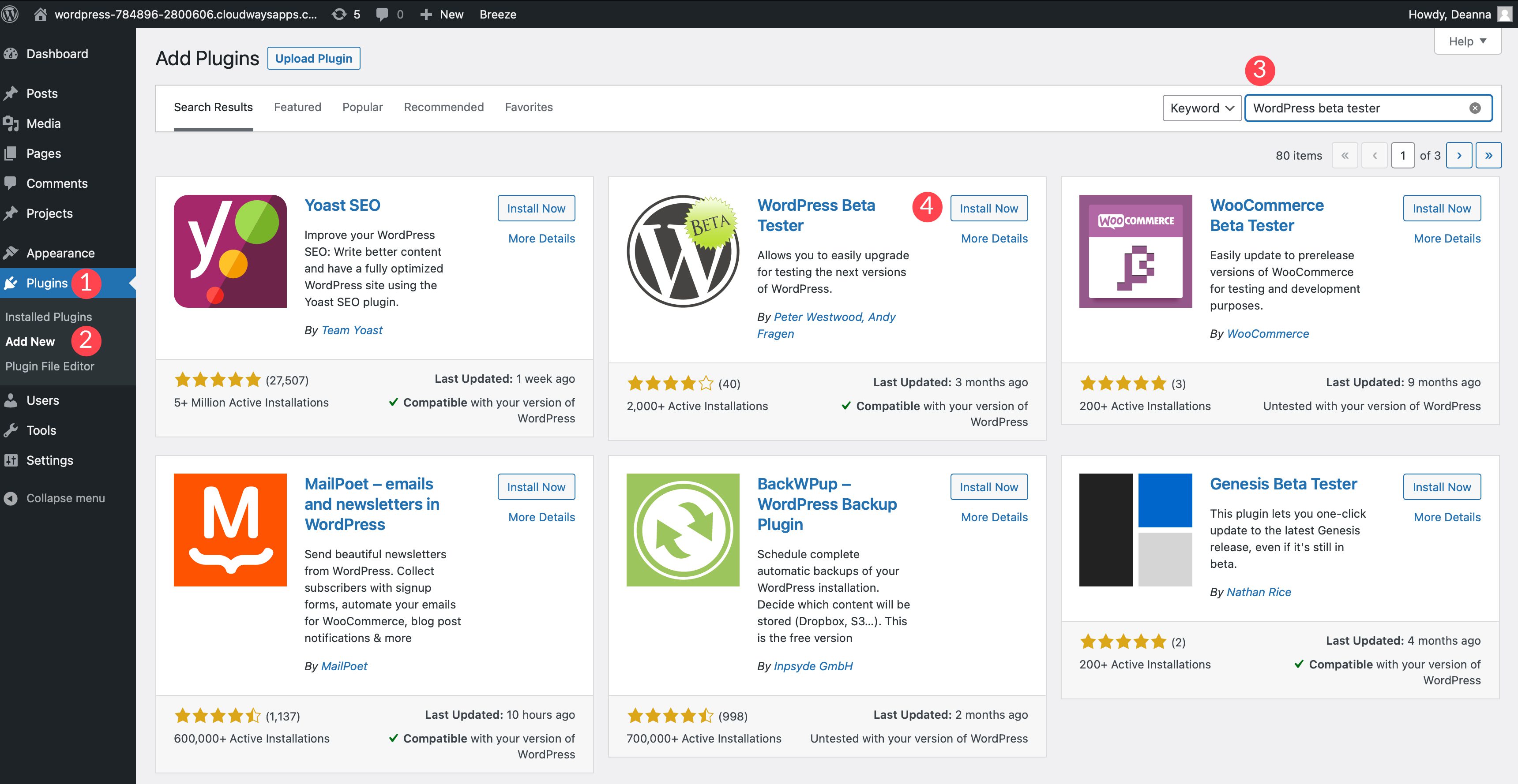 Instalare WordPress beta tester