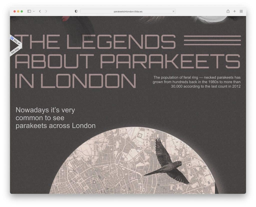 parekeets em londres site tilda