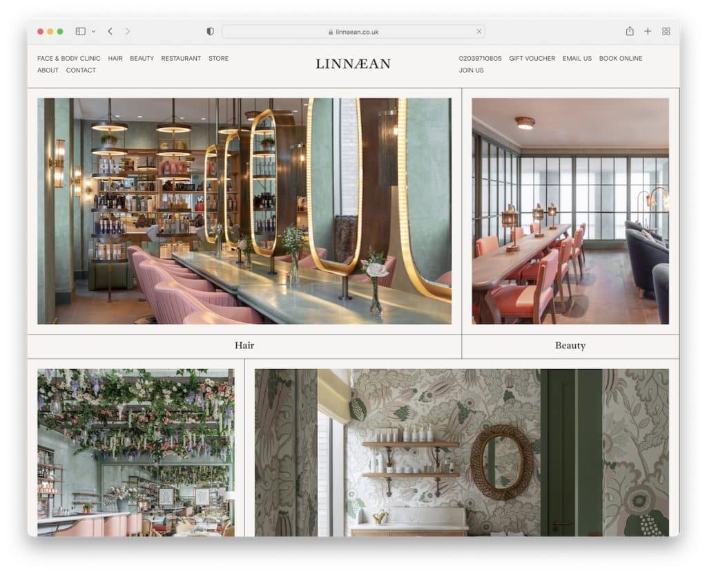 Linaean Spa-Website