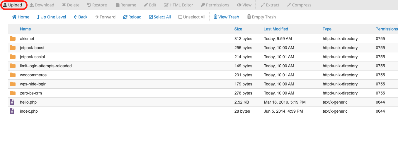 ปุ่มอัปโหลดที่ไฮไลต์ใน cPanel