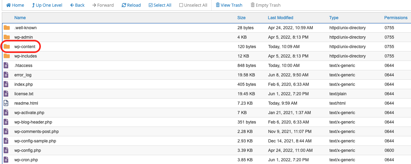 ไฮไลต์โฟลเดอร์ wp-content ใน cPanel