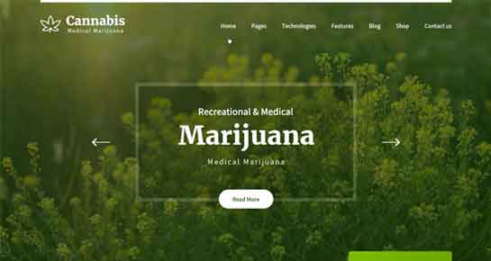 tema WordPress ganja