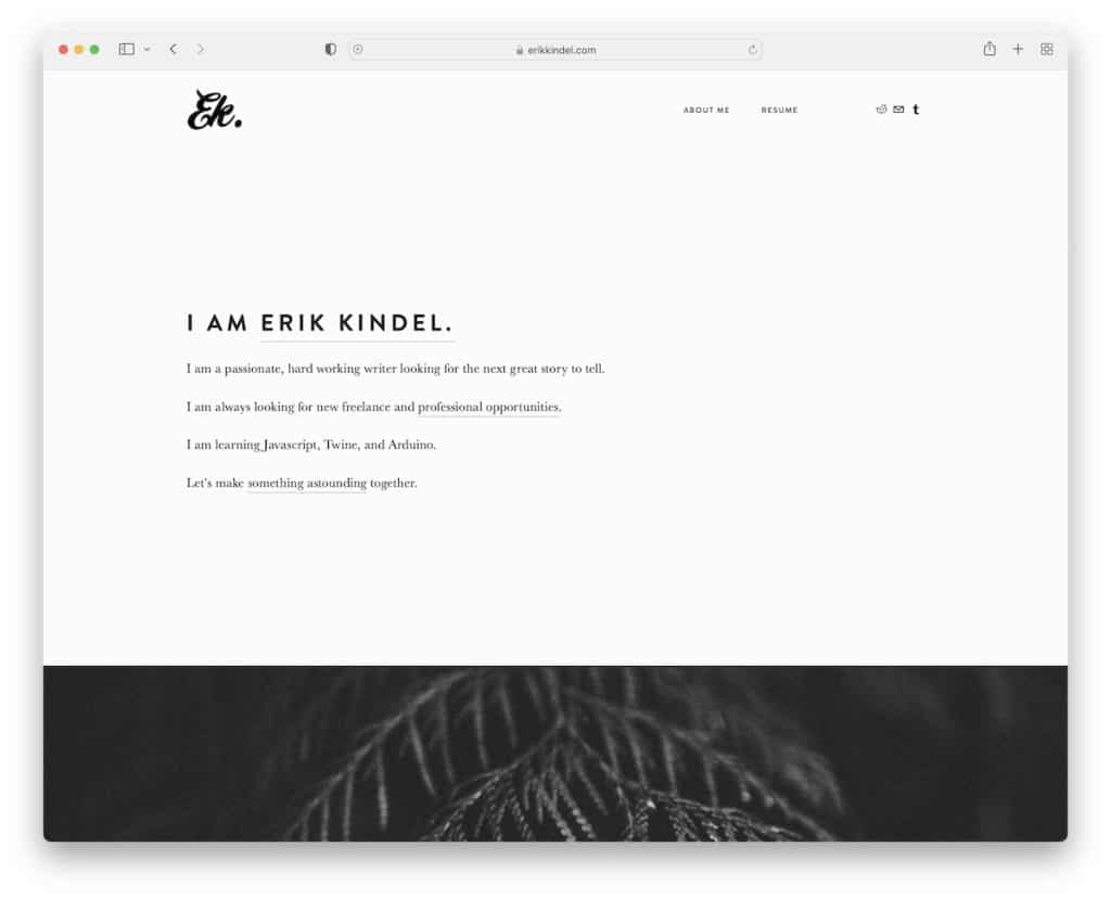 erik kidel CV site-ul web