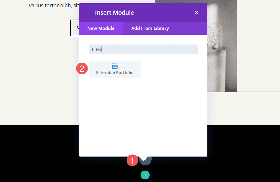 Modulo portfolio filtrabile di Divi