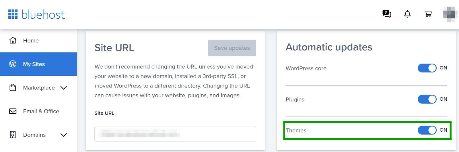 activarea actualizărilor automate ale temei în Bluehost