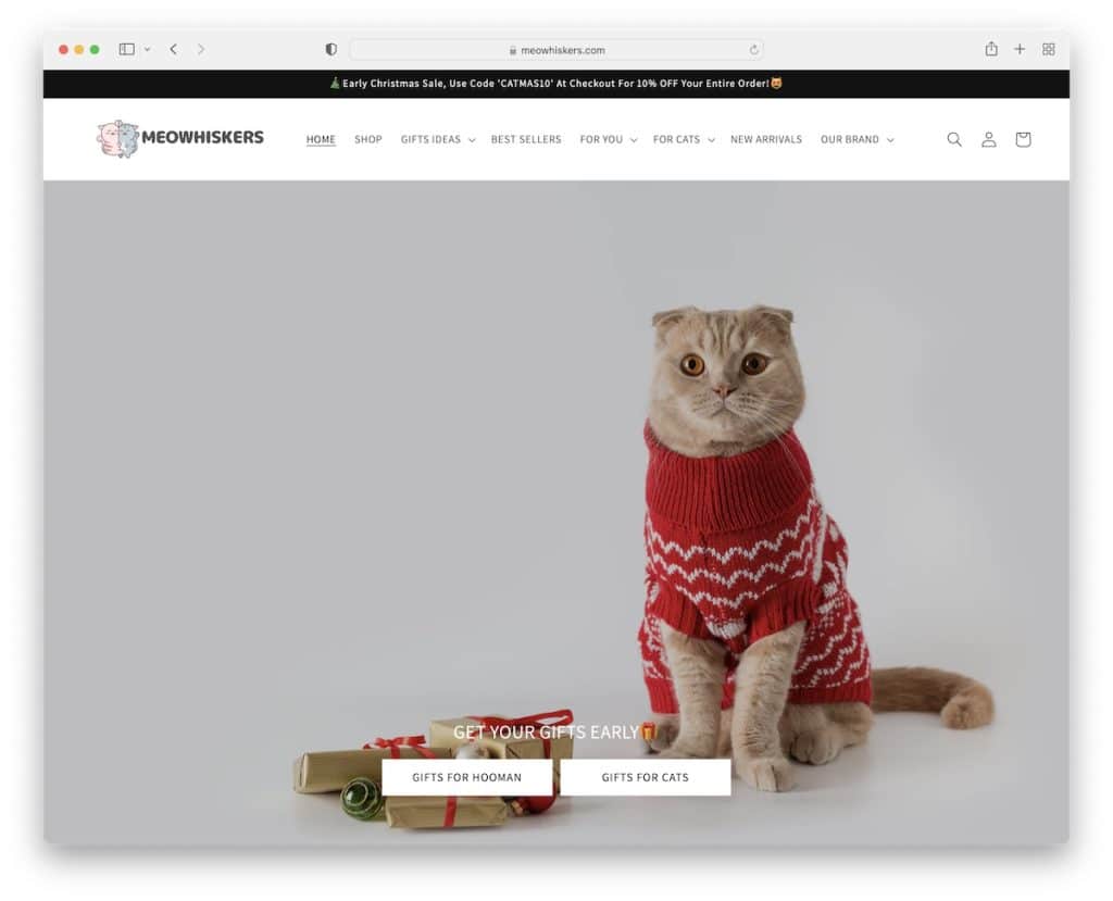 przykład strony internetowej dropshipping meowhiskers