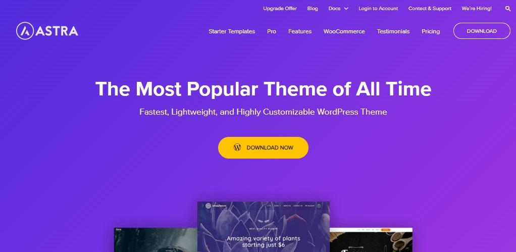 Astra WordPress Themes kosten