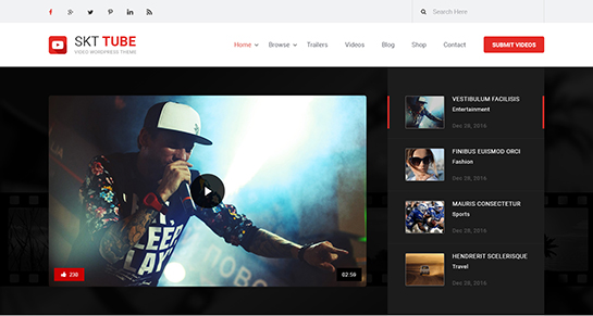 tema WordPress video