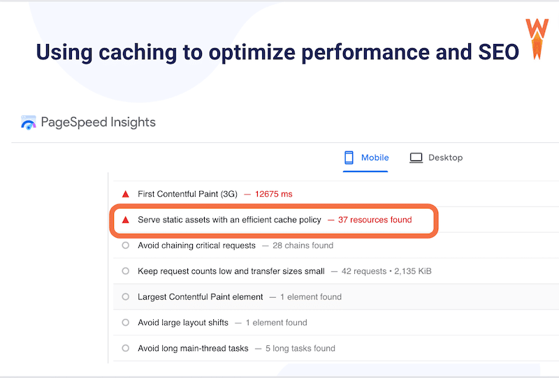 PageSpeed ​​Insights recomandă utilizarea memoriei cache în raportul de performanță - Sursa: PageSpeed ​​Insights