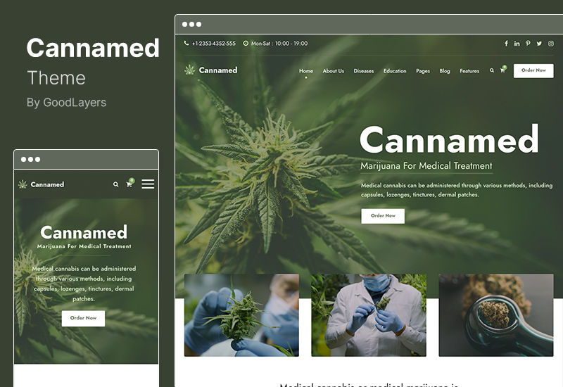 ธีม Cannamed - ธีม WordPress กัญชาและกัญชา