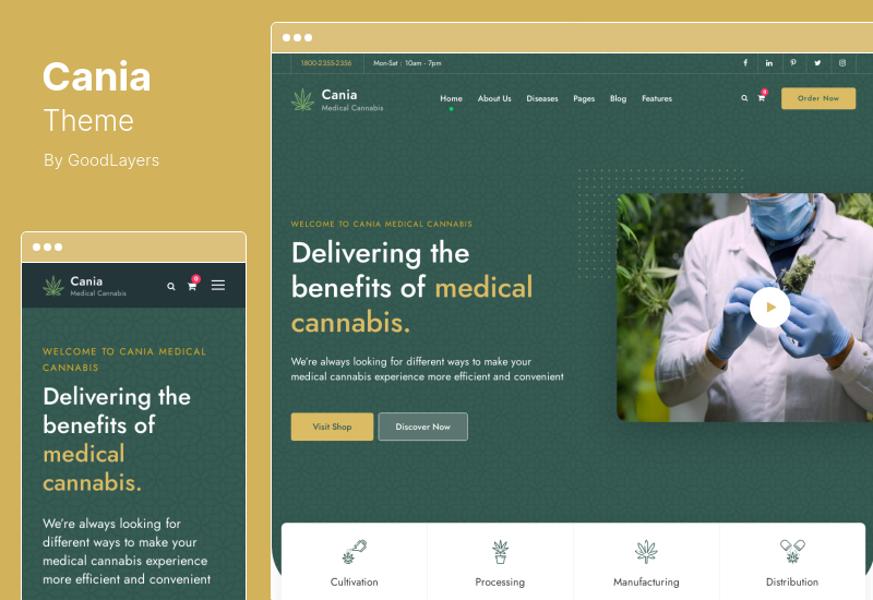 ธีม Cania - ธีม WordPress ทางการแพทย์ของกัญชา