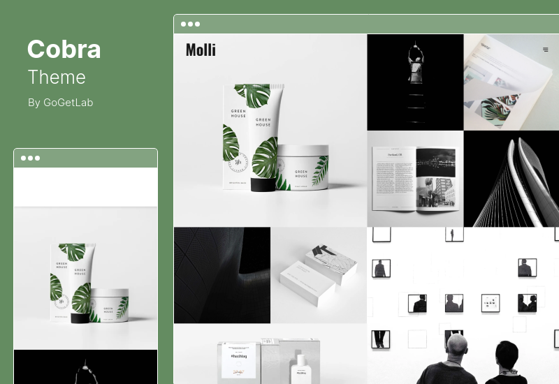 Cobra Theme - Portfolio & Photography WordPress 主题