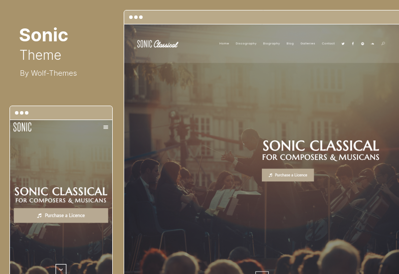 Sonic Theme - Müzik Endüstrisi için Duyarlı WordPress Teması