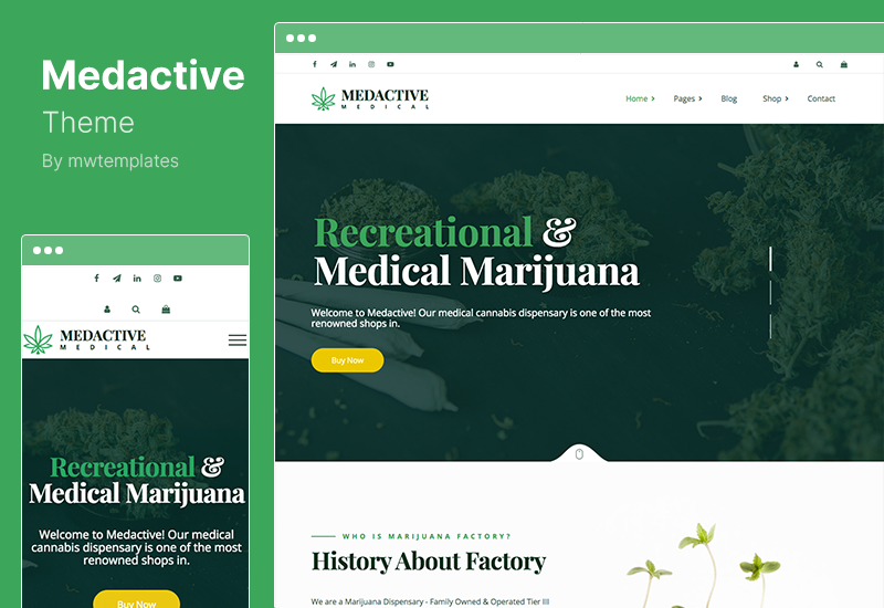 Thème Medactive - Thème WordPress pour dispensaire de marijuana médicale