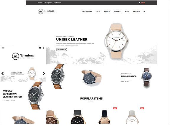 Ecommerce Website 