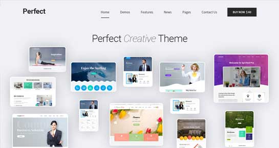 kommerzielles WordPress-Theme