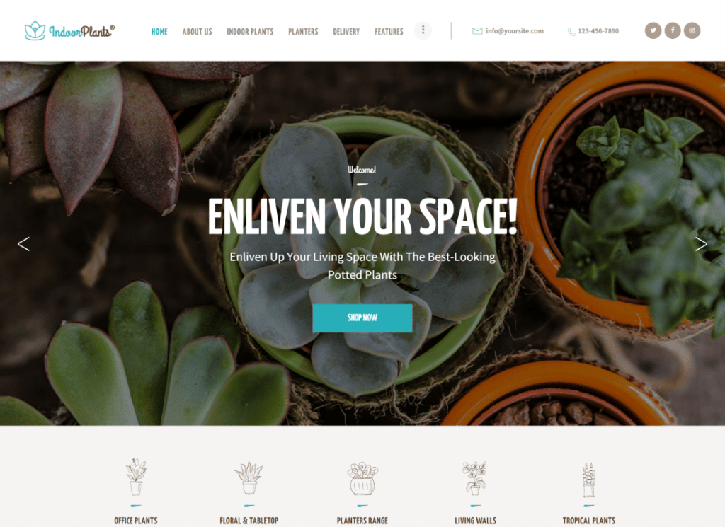 พืชในร่ม | ร้านค้า houseplants และสวนธีม WordPress