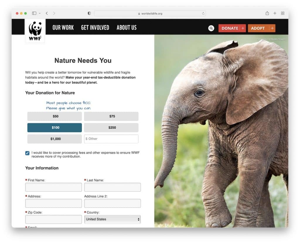 site-ul web nonprofit World Wild Life