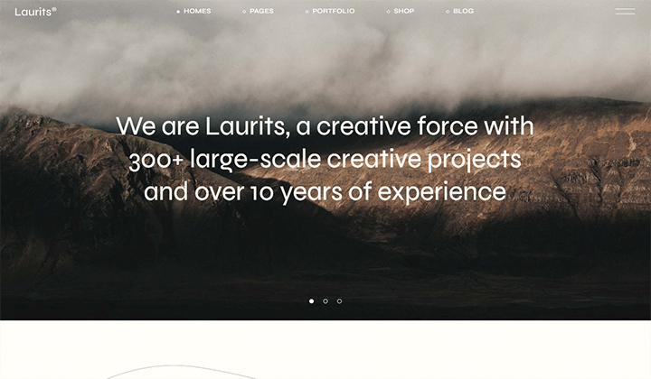 WordPress themes for portfolio