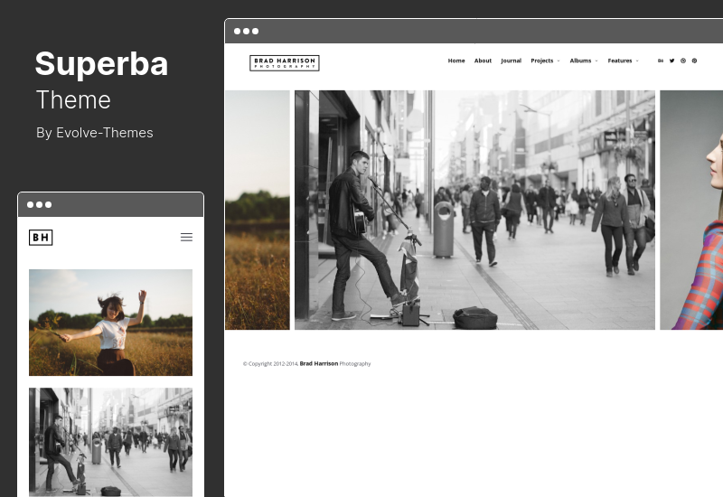 Tema Superba - Tema WordPress de fotografia centrado na mídia