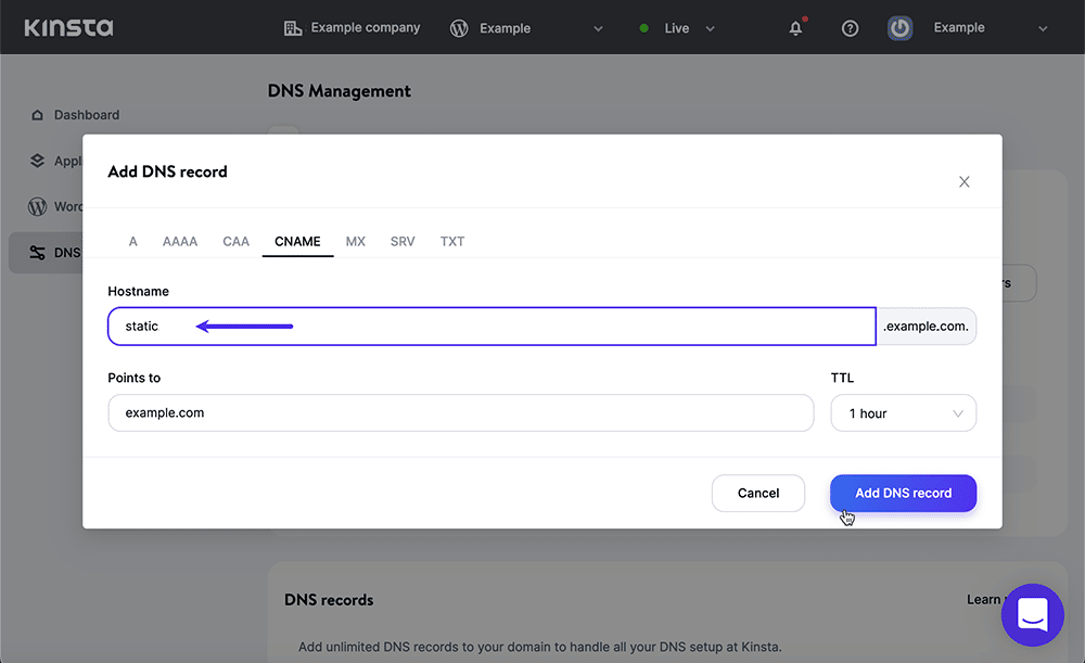 Capture d'écran : Création d'un enregistrement DNS dans MyKinsta.