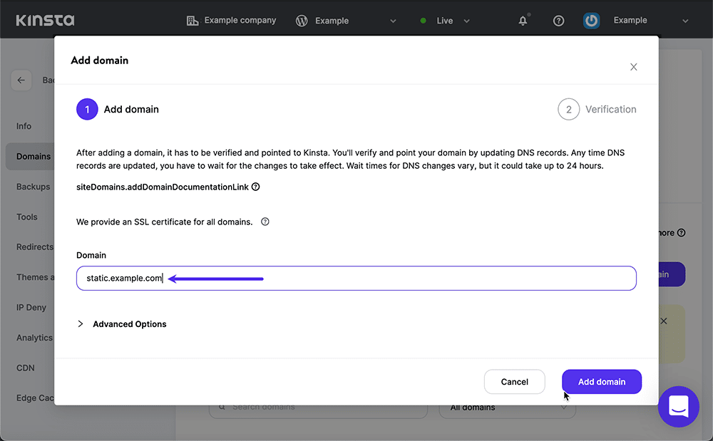 スクリーンショット: MyKinsta 内で新しいドメイン名を入力しています。