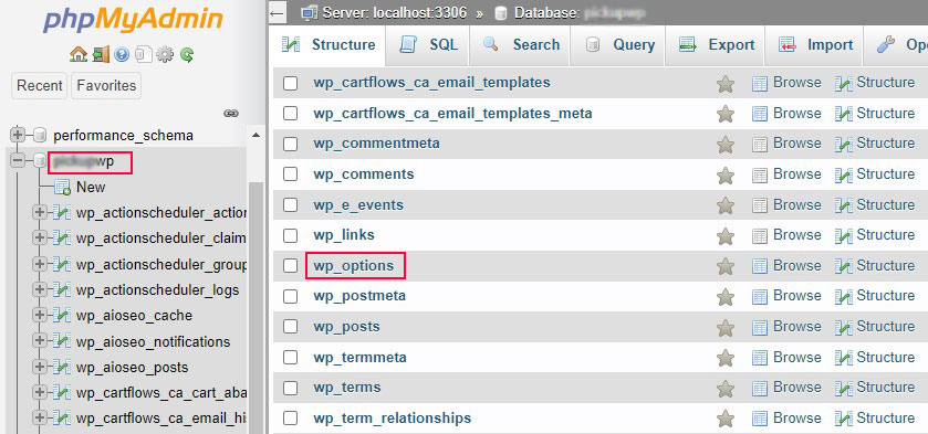 Wählen Sie die wp_options-Tabellenform Datenbank aus