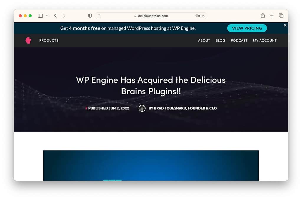 Beste WordPress-Artikel: Delicious Brains