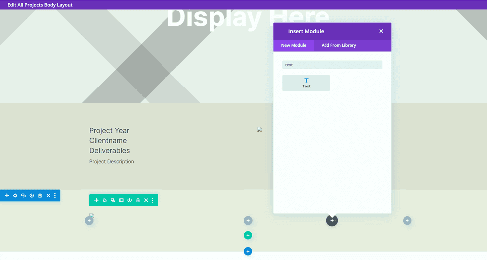 Divi Matching Portfolio e Projects Text Module Nuovo
