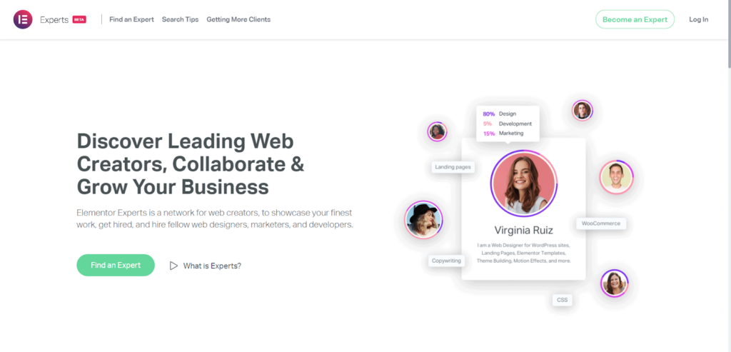 La page d'accueil des experts d'Elementor